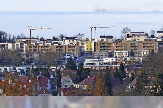 Ein neuer Stadtteil in Burgheim
