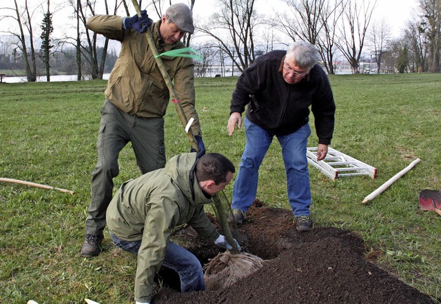 Viele fleiige Helfer waren im Einsatz...e aus Obstbumen entstehen zu lassen.   | Foto: Jrn Kerckhoff