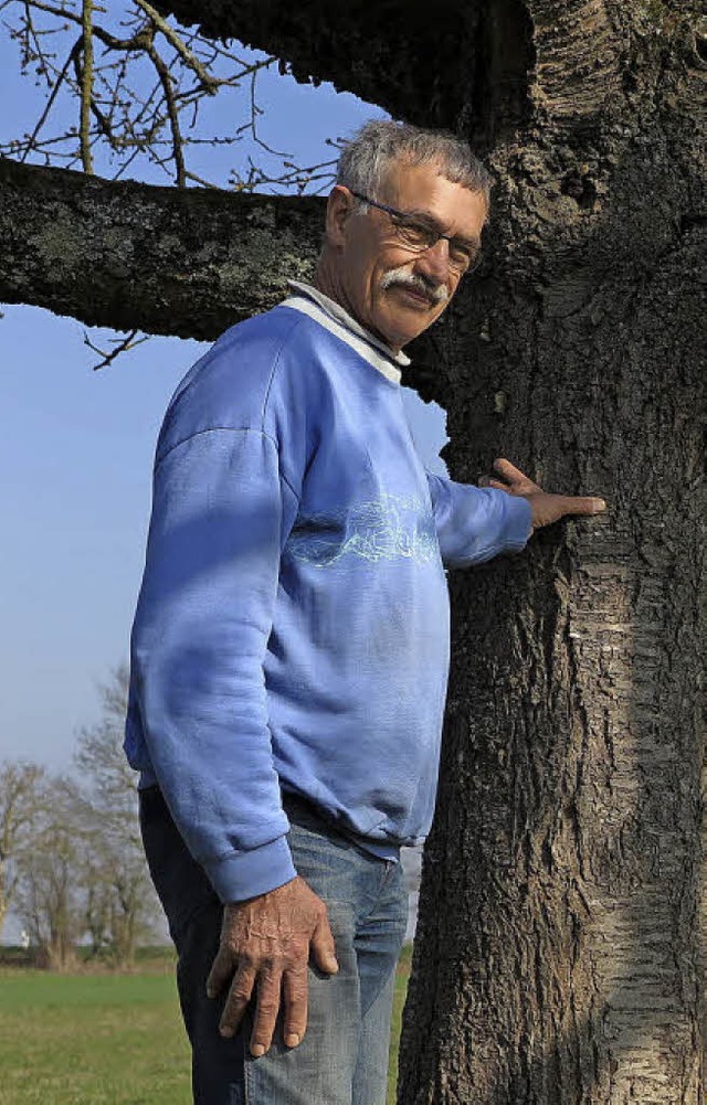 Helmut Mett bei einem Baum mit einer knstlichen Brutrhre fr den Steinkauz.   | Foto: Dorothee Philipp