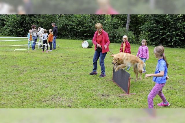 Hundefreunde mssen umsiedeln