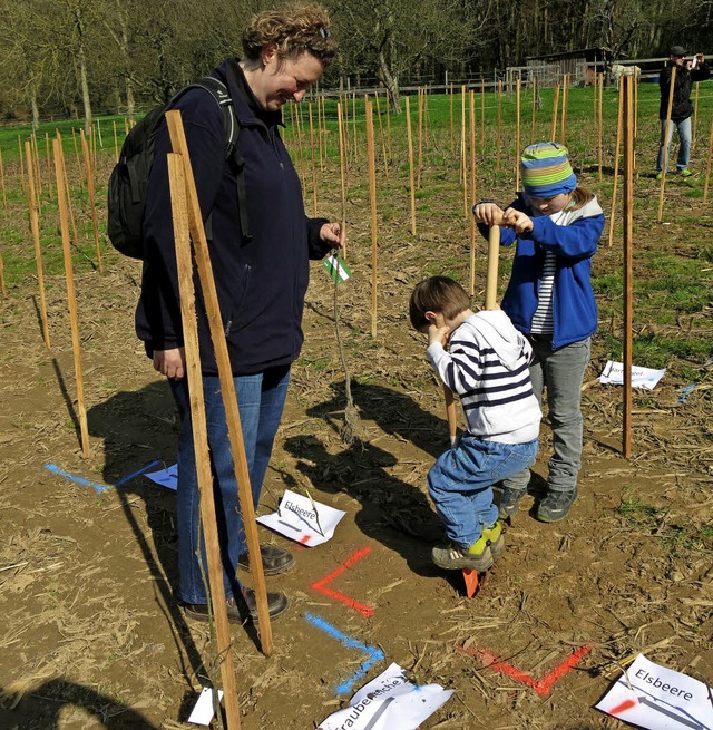 Baumpflanzaktion der SWE in Zusammenar...n und dem Waldkindergarten Windenreute  | Foto: Georg Vo