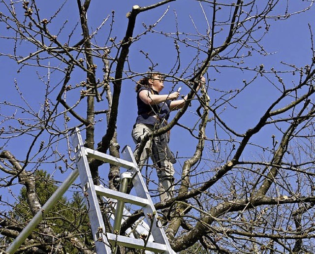 Drte Strittmatter vom Obst- und Garte...ingen hat den richtigen Schnitt raus.   | Foto: Obst- und Gartenbauverein flingen