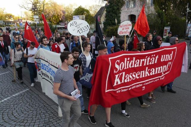 Fotos: Demonstration in Breisach gegen die AfD