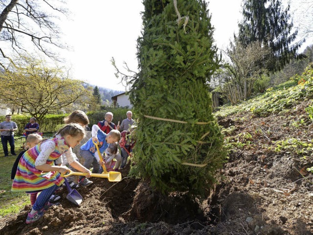 Die Kindergartenkinder legten beim Einpflanzen gerne noch eine Schippe drauf.   | Foto: Rita Eggstein