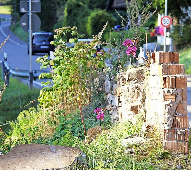 Aus den Resten der Ruine soll das Haus Doll auferstehen.  | Foto: Gert Brichta