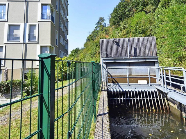 Das Nahwrmekonzept ist der grte Str...asserschnecke im Gewerbekanal zu laut.  | Foto: Michael Bamberger