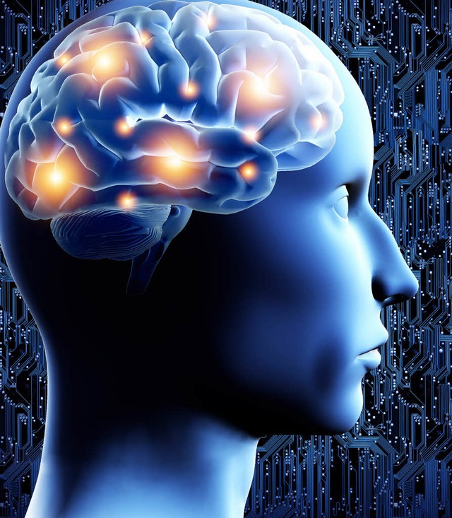 Das Entscheidungsorgan: das menschliche Gehirn   | Foto: colourbox