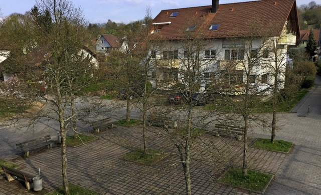 Platz der Lindenwanzen: In Mietersheim...ten &#8222;Lstlinge&#8220; belstigt.  | Foto: PRIVAT