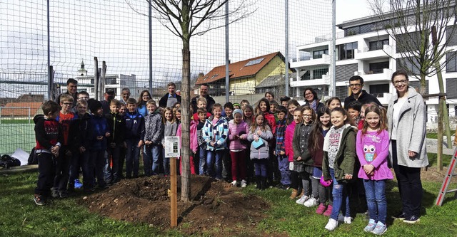 ber die gelungene Baumpflanzaktion fr...h Schler, Schulleitung und Gemeinde.   | Foto: Gemeinde Murg