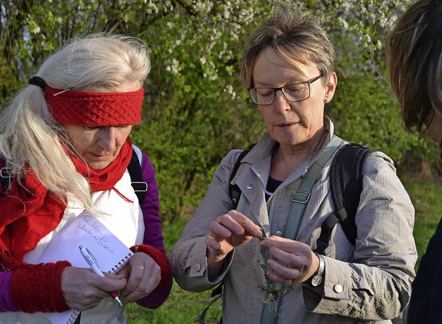 Kruterpdagogin Waltraud Maier (recht...kruter&quot;-Tour heimische Pflanzen   | Foto: Karin Reimold