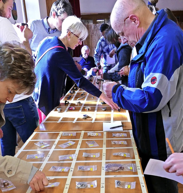 Vor der Versteigerung konnten die viel...achen in Augenschein genommen werden.   | Foto: Silas Schwab