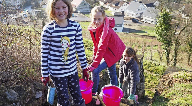 Schlerinnen aus Ballrechten-Dottingen bei der Arbeit   | Foto: Monika Mller