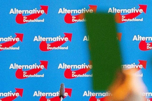 Rcktritte und Wechsel: Es knirscht im Vorstand der Kreis-AfD