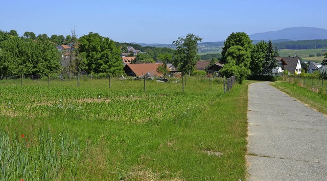 14 Baupltze sollen am Ortsrand von Huttingen entstehen.   | Foto: Schopferer