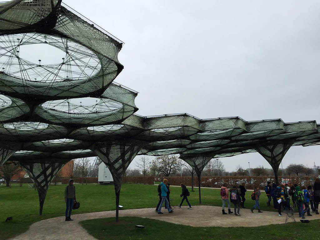 Der Elytra-Filament-Pavilion auf den Vitra-Gelnde wurde nur von Robotern gebaut.