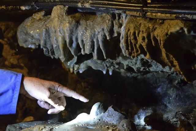 Tschamberhhle und Geo-Museum Dinkelberg in Rheinfelden wieder offen