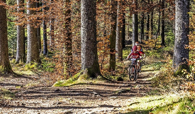 Der Hotzenwald bleibt mit seinen Natur...ch Mountainbiker zieht es in den Wald.  | Foto: Hotzenwald Tourismus