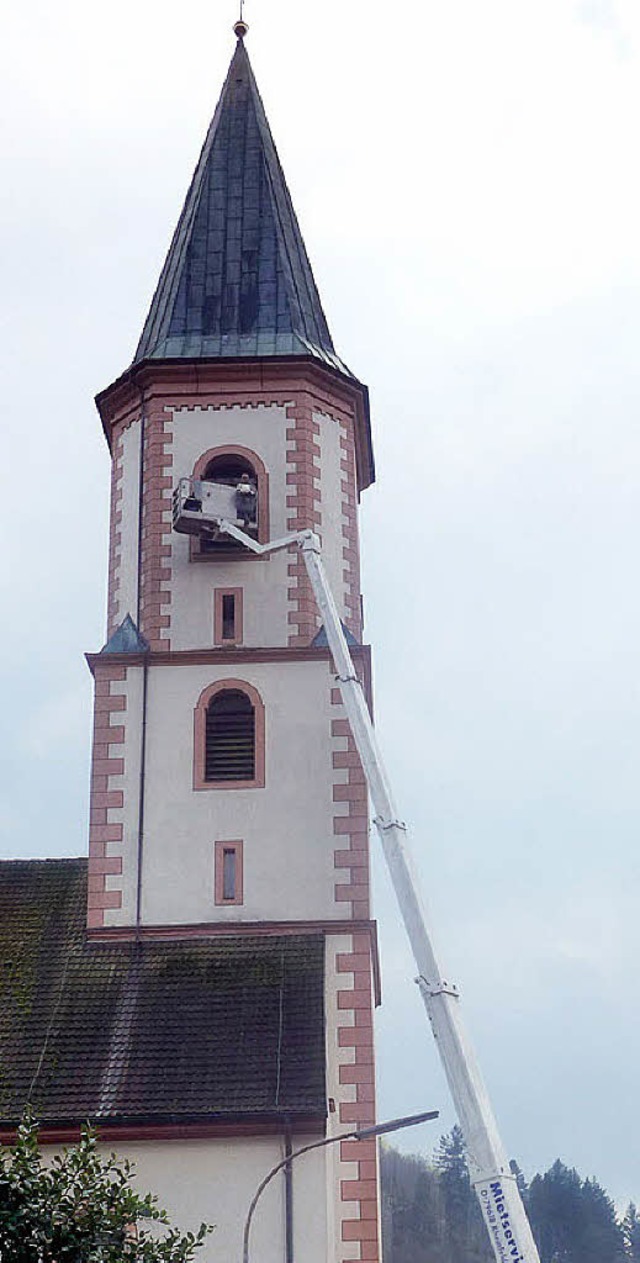 Die Tauben mssen weichen, doch Falken...eiterhin im Kirchturm wohnen bleiben.   | Foto: edgar Steinfelder