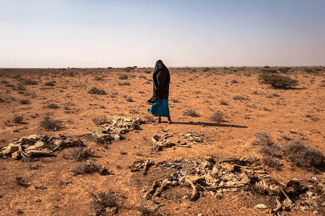 In Somalia lebt es sich schlecht: Dort...krieg und die Menschen leiden Hunger.   | Foto: dpa