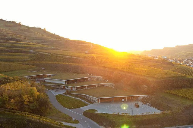 Das Weingut Franz Keller im Kaiserstuhl  | Foto: BZ