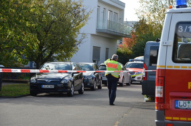 Groeinsatz im Mundiweg im Oktober 2016  | Foto: Verena Pichler 