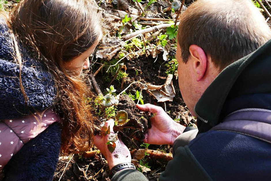 Jede Menge zu entdecken gibt es in der Wutachschlucht bei Ewattingen. Mitarbeiter der vier Ökomobile des Landes, Wutachranger Martin Schwenninger und die Ehrenamtlichen der Bergwacht und des DRK waren mit von der Partie. (Foto: Stefan Limberger-Andris) Jede Menge zu entdecken gibt es in der Wutachschlucht bei Ewattingen. Mitarbeiter der vier Ökomobile des Landes, Wutachranger Martin Schwenninger und die Ehrenamtlichen der Bergwacht und des DRK waren mit von der Partie. (Foto: Stefan Limberger-Andris)