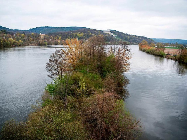 Am Donauufer in Donaustauf (Bild) wurde die Leiche der toten Studentin geborgen.  | Foto: dpa