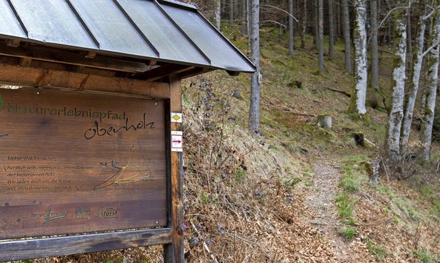 Erholungsfunktion fr Waldbesucher hat...der Naturpfad Oberholz in Birkendorf.   | Foto: Wilrfried Dieckmann