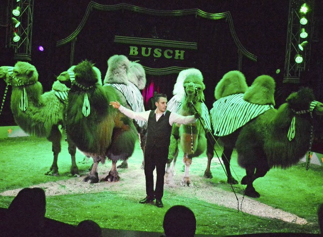   | Foto: Veranstalter/Zirkus Busch