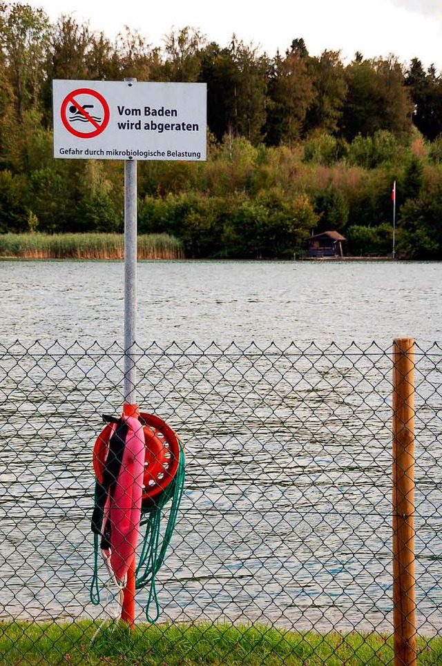 Seit zwei Jahren trennt ein Zaun Bad und Rhein in Schwrstadt.  | Foto: Hildegard Siebold