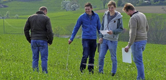 Eine Aufgabe beim Verbandsentscheid de...ewerbs: den Getreideschlag beurteilen.  | Foto: Alexander Seibold