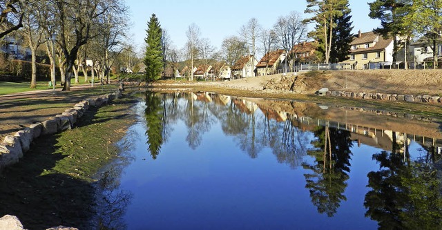 Der Eisweiher in der Morgensonne. Der ...nterwegs. Die Enten schert das nicht.   | Foto: Peter Stellmach