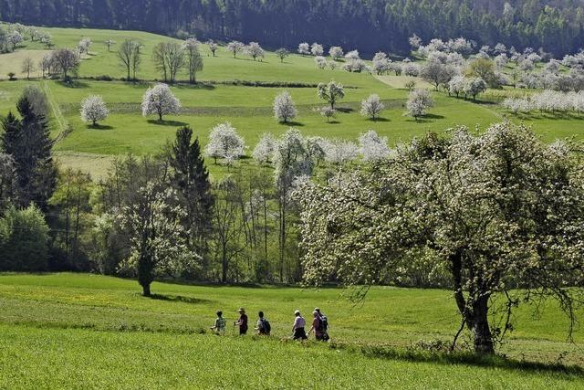 Traumhafte Frhlingslandschaft