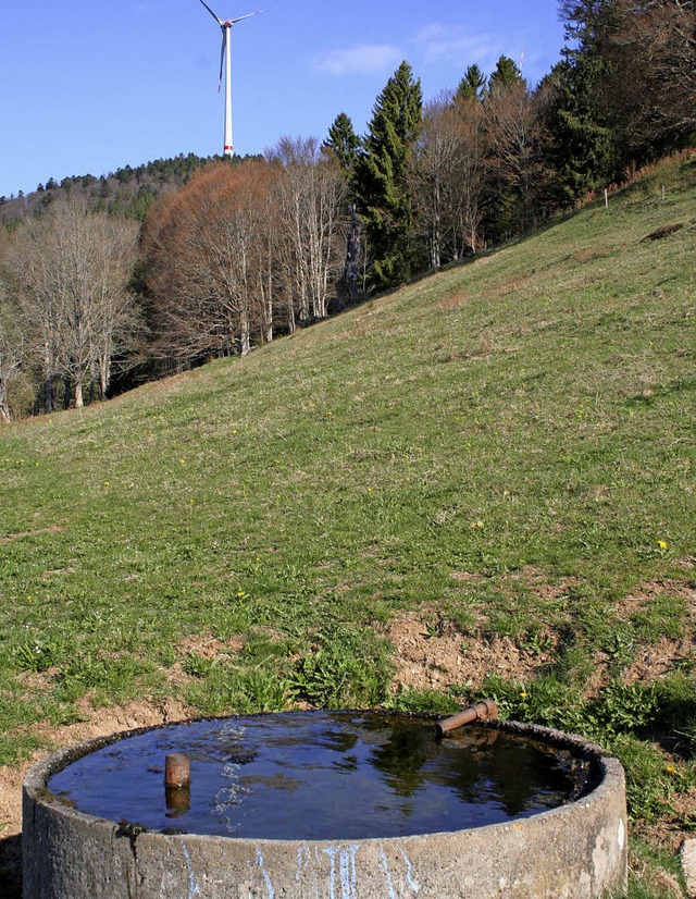 Bilder: Dem Wasser und Baumgruppen sol...kunft mehr Beachtung geschenkt werden.  | Foto: Gerd Sutter