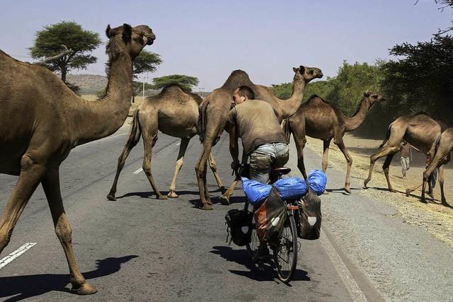 Geschafft: Zwei Freiburger fuhren mit dem Rad 14.000 Kilometer durch Afrika