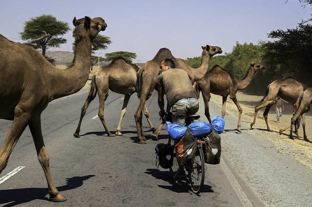 In Afrika gibt es eher ungewhnliche Hindernisse auf den Straen  | Foto: privat
