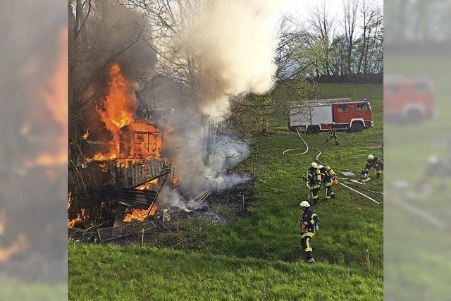 Zweimal Flammen drauen im Grnen