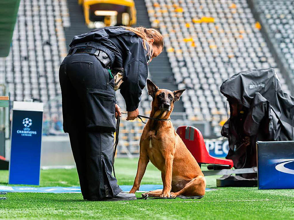 Eine Polizeibeamtin steht mit Ihrem Sprengstoff-Sprhund an den Trainerbanken im Signal-Iduna-Park in Dortmund.