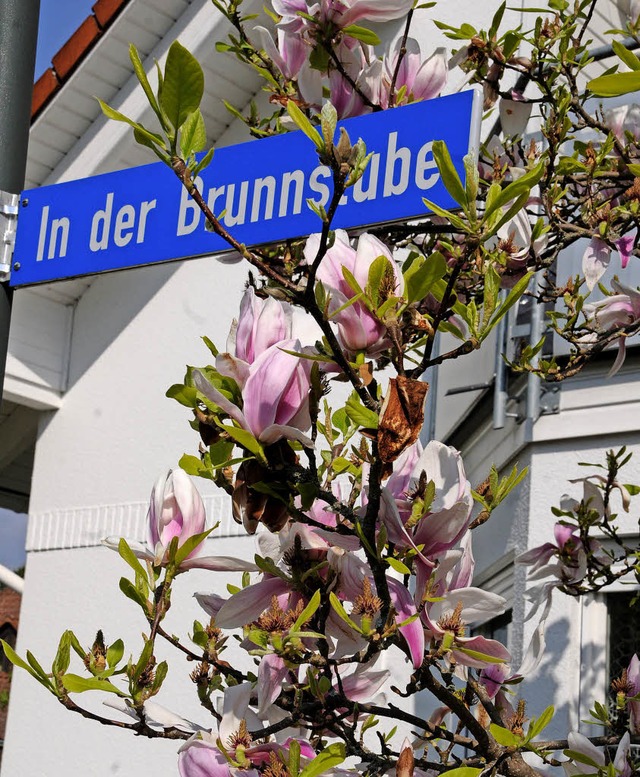 Es blht wieder in der Maulburger Brunnstube.   | Foto: R. Bergmann