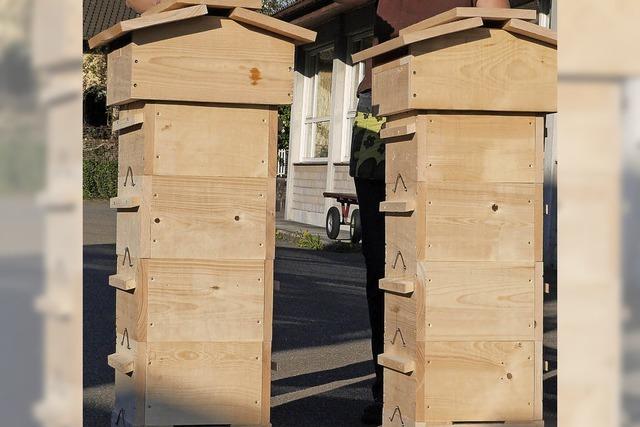 Bienenwohnungen mit Hausmeister