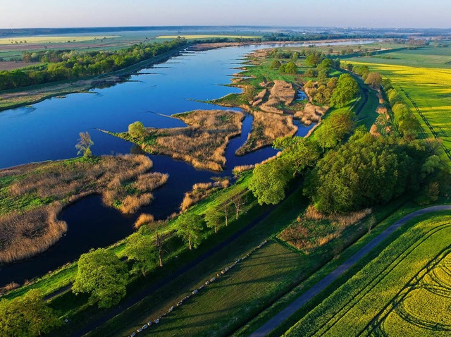 Das Oderbruch im Morgenlicht: Die Regi...Oderberg im Norden bis Lebus im Sden.  | Foto: dpa-tmn