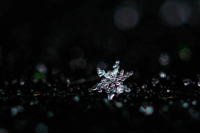 Schneeflocken kehren in den Schwarzwald zurck.  | Foto: Maja Hitij (dpa)