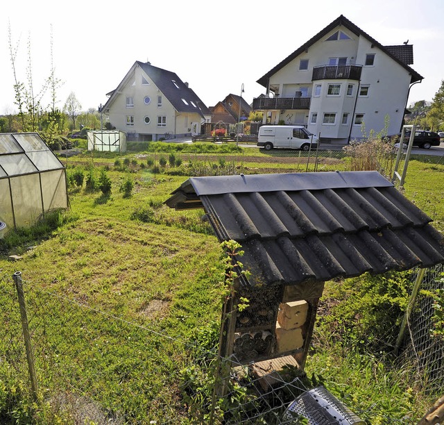 Der gepflegte Garten wird einer Wohnbe...gebiets Sattler Breite II mglich wird  | Foto: Markus Zimmermann