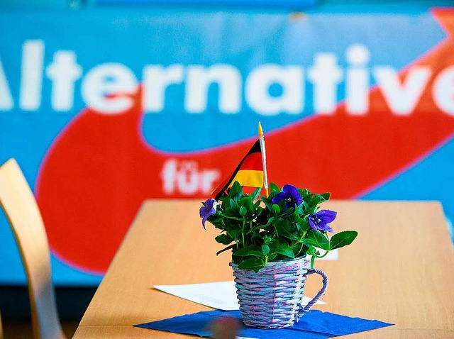 Die AfD startet in ihren Wahlkampf.  | Foto: dpa