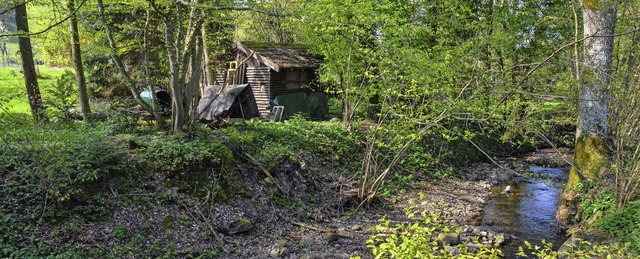 Was in Gewssernhe stehen darf und wa...s wird bei der Gewsserschau geklrt.   | Foto: Gabriele Hennicke