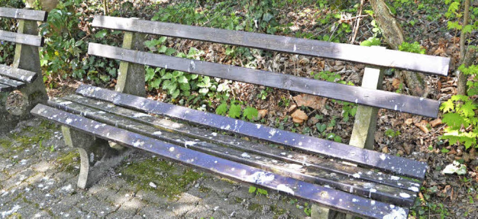 Von Saatkrhen zugekotete Sitzbank im Bad Krozinger Kurpark  | Foto: Sebastian Krger