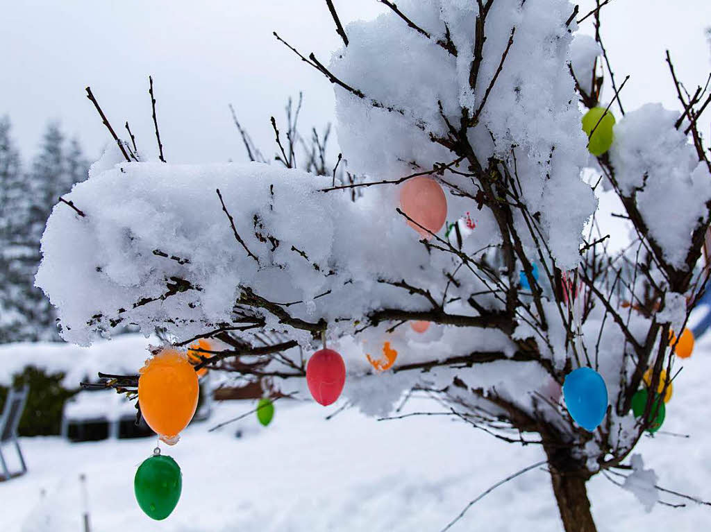 Mehrere Zentimeter Schnee liegen am Montag in Reitzenhain imErzgebirge (Sachsen) auf einem mit Kunststoff-Ostereiern geschmckten Baum.