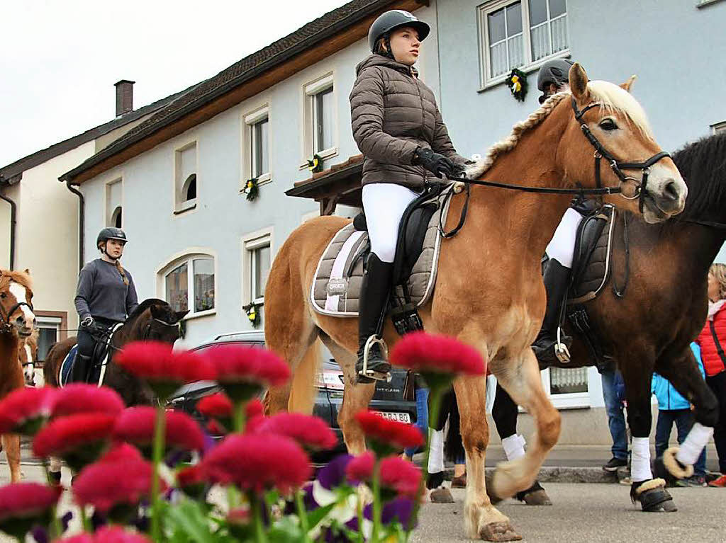 Fast 70 Pferde und Reiter waren zur traditionsreichen Prozession nach Ehrenkirchen gekommen