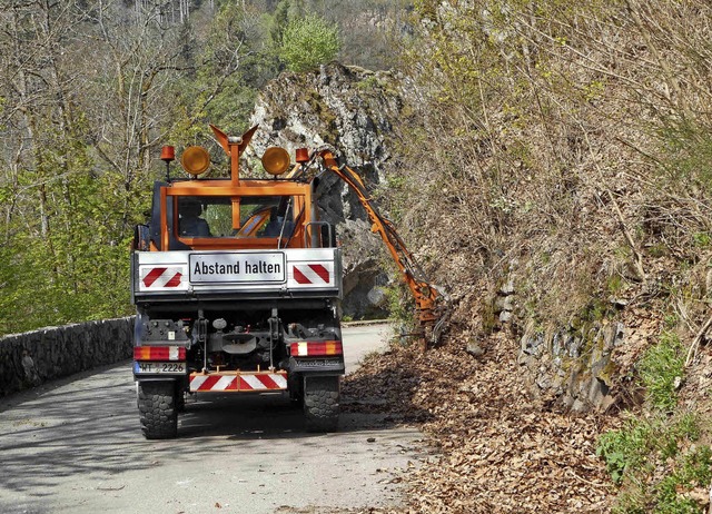 Laub und Steine wurden auf der L154 zusammengekehrt.  | Foto: LAndratsamt