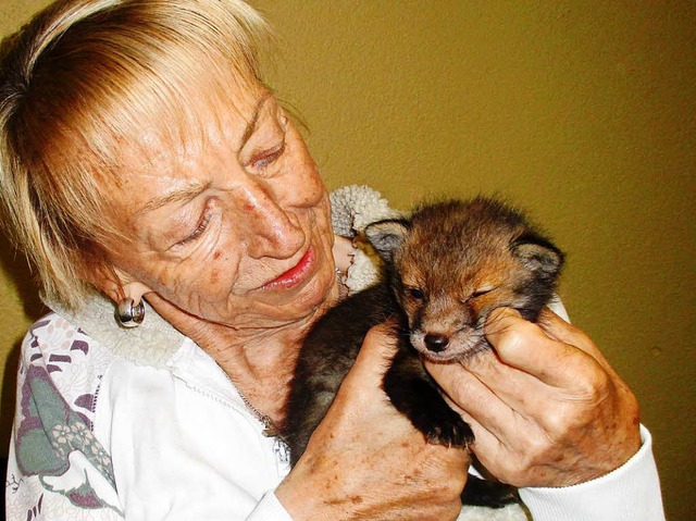 Der kleine Fuchs war alleine auf einer...itstreiter werden sich um ihn kmmern.  | Foto: Tierschutzverein